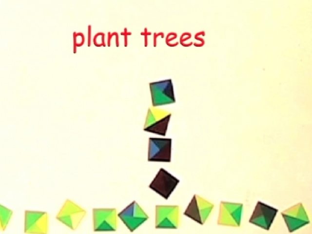 plant trees